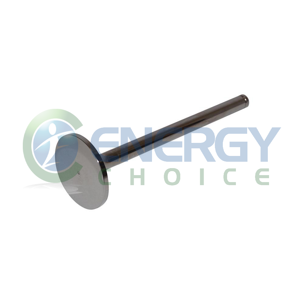 Intake Valve, Jenbacher, 375631